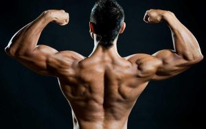 Do Anabolic Androgenic Steroids Increase Life Expectancy?