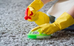 Professional Carpet Washing Services in Singapore Quality and Affordable Solutions