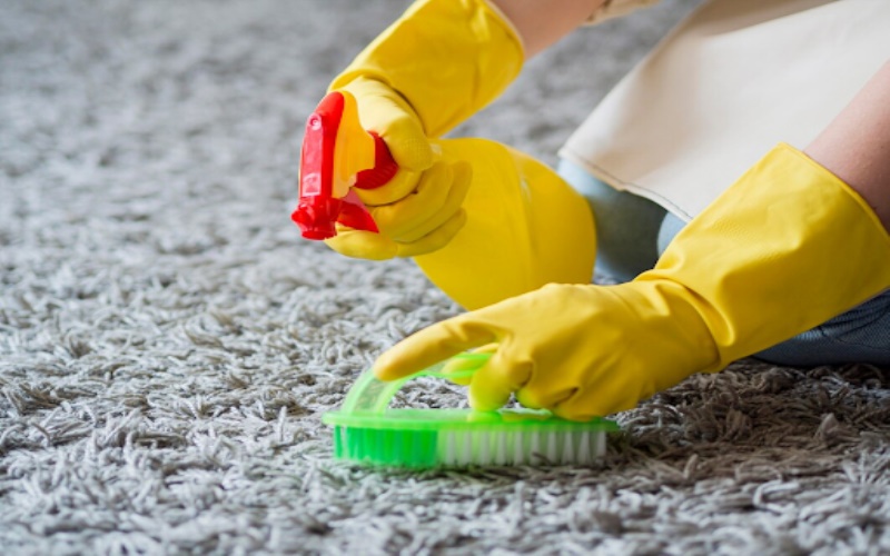 Professional Carpet Washing Services in Singapore Quality and Affordable Solutions