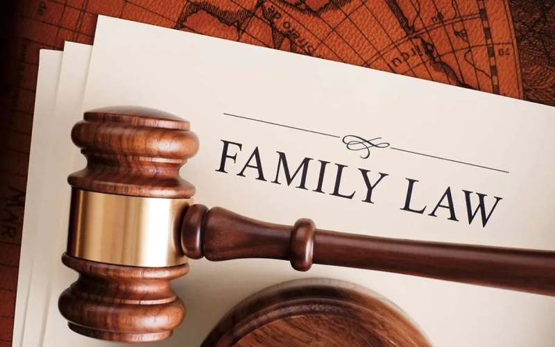 Family Law Cases
