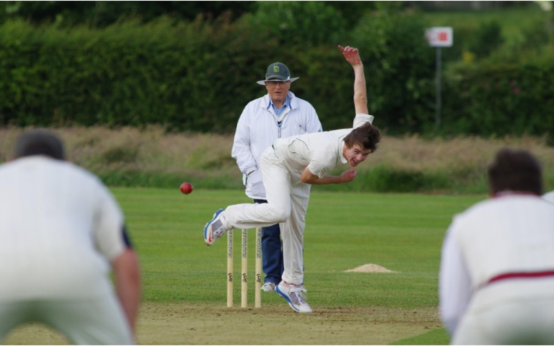 Cricket Ball