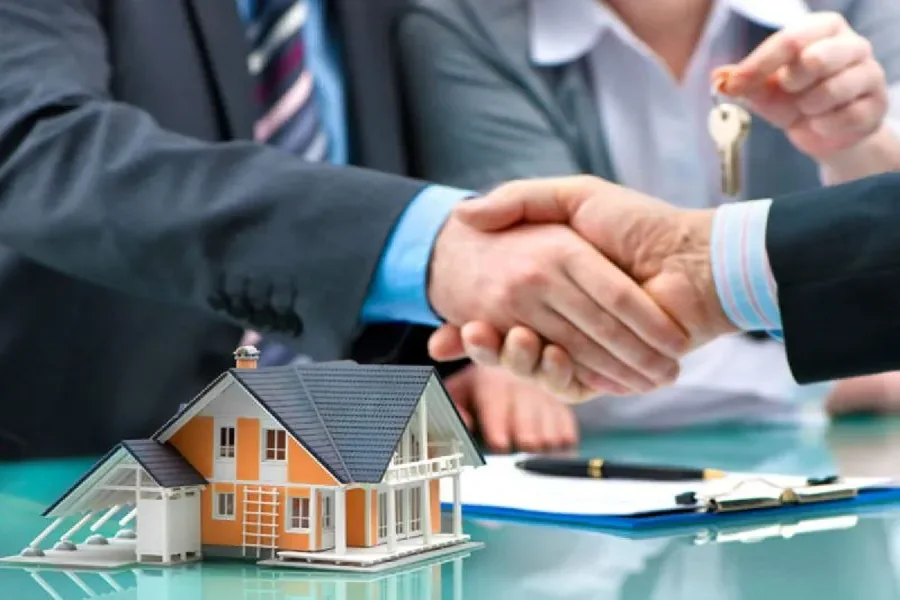 Real Estate Consultant