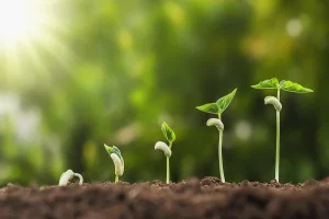 Long-term Success
