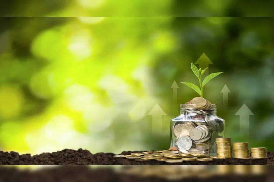 Wealth Creation
