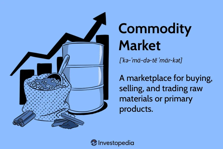 Portfolio Construction