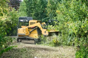 Forestry Mulching
